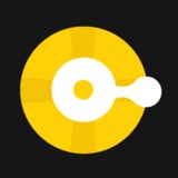 Blockchain Focus logo