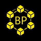 Blockchain Pionier🇩🇪🇨🇭🇦🇹🇲🇹 logo