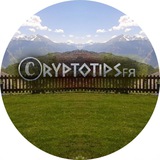 CRYPTOTIPSFR logo