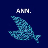 GAINS Announcements logo