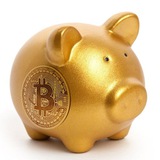 Bitcoin Accumulator logo