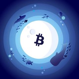 Crypto Aquarium 🐳 logo