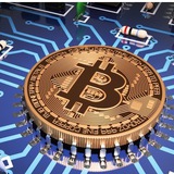 Crypto Plumber Official Group logo