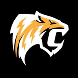 CryptoInvestor.Asia Channel logo