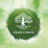 DEREVOROD logo
