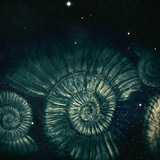 Iran Bitcoin ™ logo