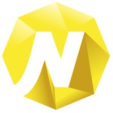 Newton Coin Project logo