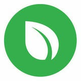 Peercoin  Peercoin.chat logo