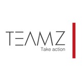 TEAMZ, Inc. logo