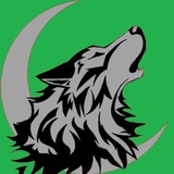 Wolves Of Crypto Premium Leaks logo